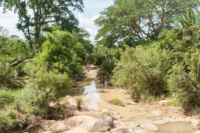Hluhluwe-Imfolozi Game Reserve. Bush creek. Imfolozi. .