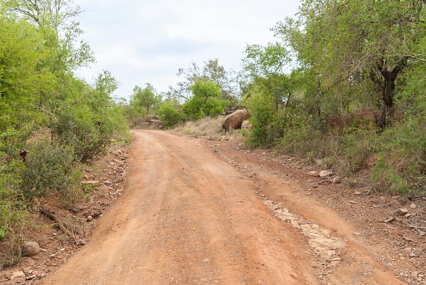 Hluhluwe-Imfolozi Game Reserve. Bush road. Imfolozi. .