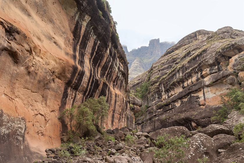 Royal Natal National Park. Thukela Gorge. Bergville. .