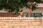ZAR019