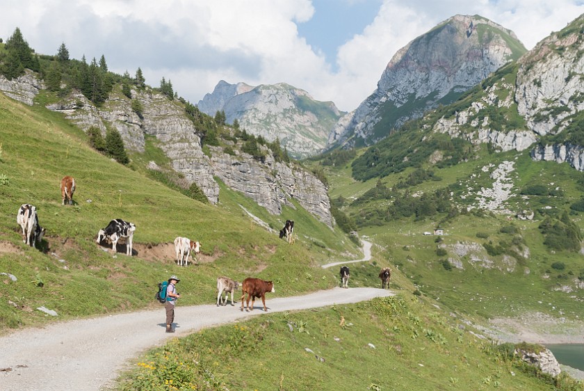 Formarinalpe. Path to Freiburger Hütte. near Lech. .