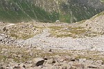 SIL008