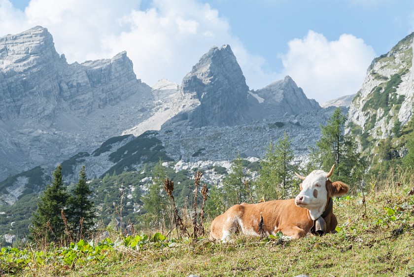 Hike to the Watzmannhaus. Falzalm with view into the Watzmannkar. near Berchtesgaden. .