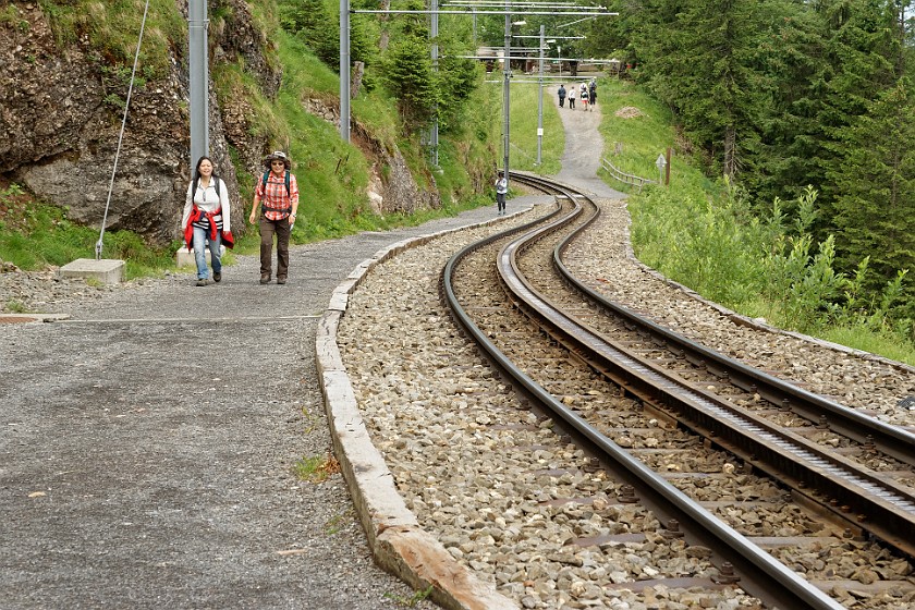 Mount Rigi. Hiking alongside cogwheel tracks. near Rigi Klösterli. .