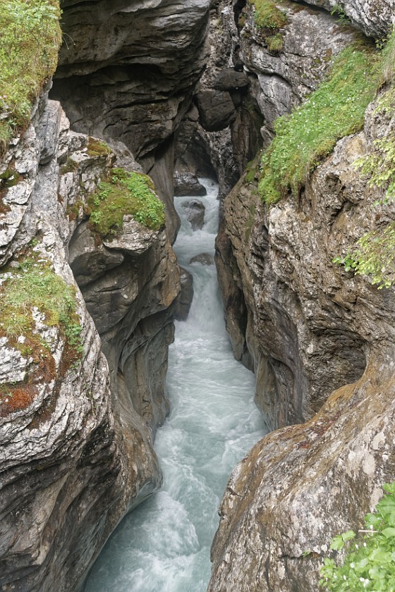 Glacier Gorge Rosenlaui. Rosenlaui brook at the exit of the canyon. near Schattenhalb. .