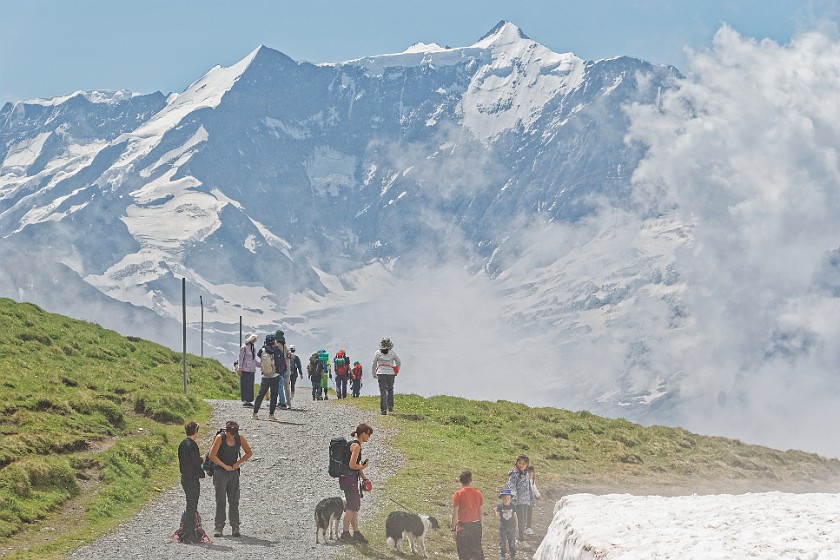 Grindelwald–First. View on Klein Fiescherhorn and Hinter Fiescherhorn. near Grindelwald. .