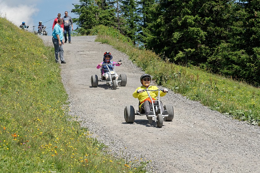 Grindelwald–First. Mountain cart driving. near Grindelwald. .