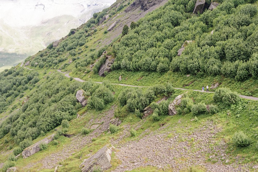 Rotsteckli Trail. Hiking. near Wengen. .