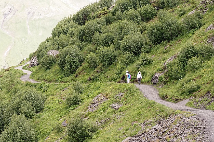 Rotsteckli Trail. Hiking. near Wengen. .