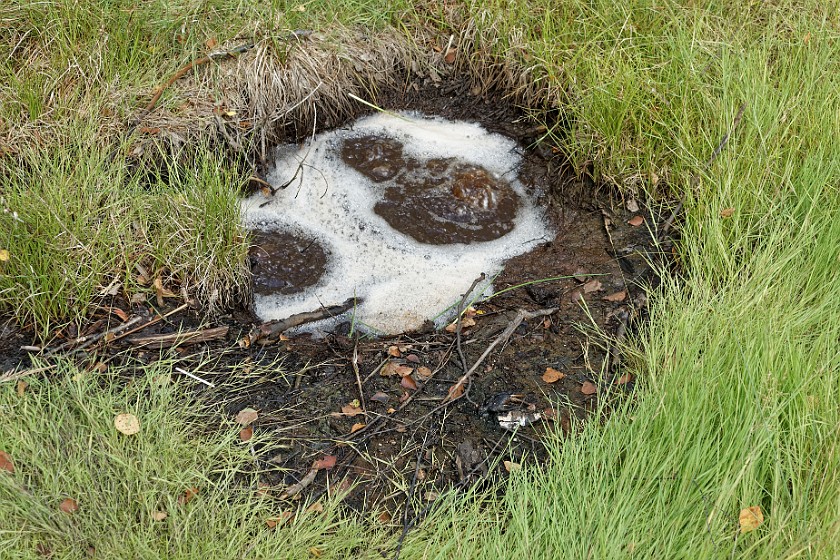 Soos Nature Reserve. Hot spring. Skalná. .