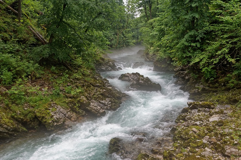 Vintgar Gorge. River in the mist. near Bled. .