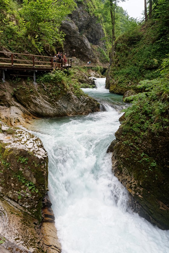 Vintgar Gorge. Footpath on top of the river. near Bled. .