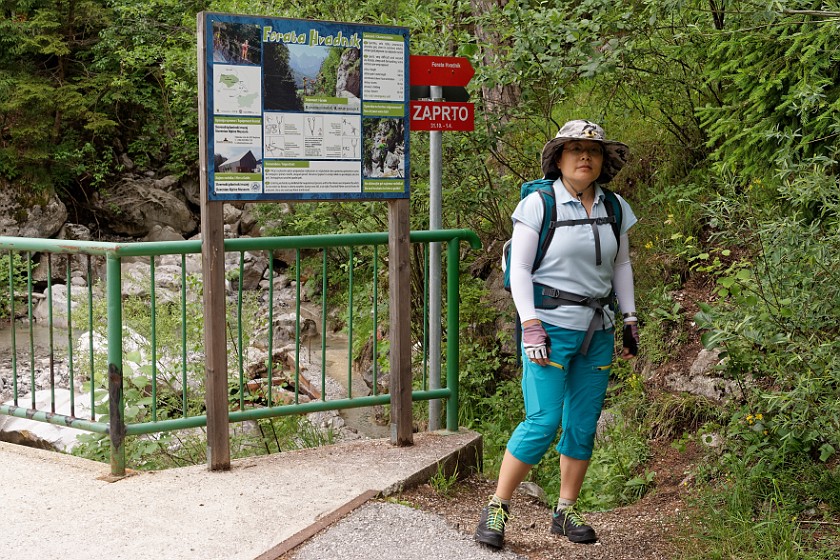 Via Ferrata Hvadnik. Portrait at the entrance of the Hvadnik gorge. Gozd Martuljek. .