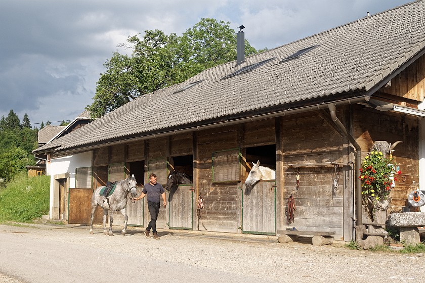 Farm Pr' Kolenc. Stable. Zgornje Gorje. .