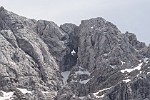 SLC007