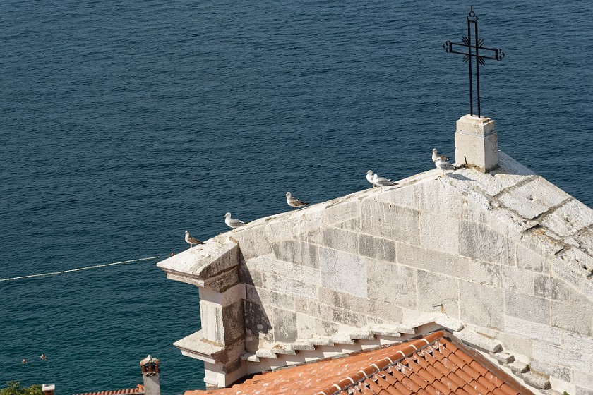 Rovinj. Gable of St. Euphemia church. Rovinj. .