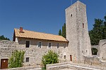 CRO119