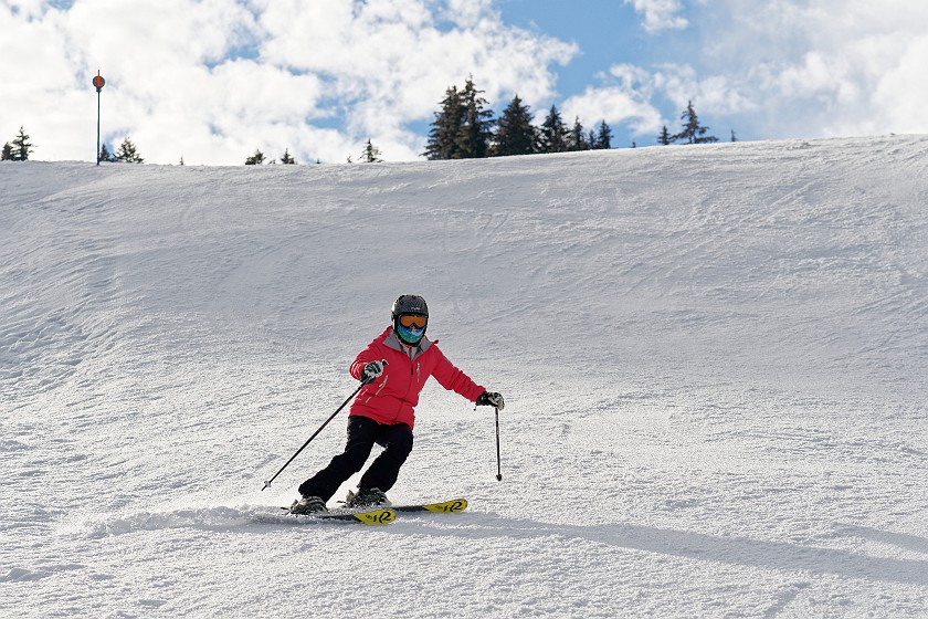 Skiing in the Gstaad, Saanen and Rougemont Area. Skiing. near Gstaad. .