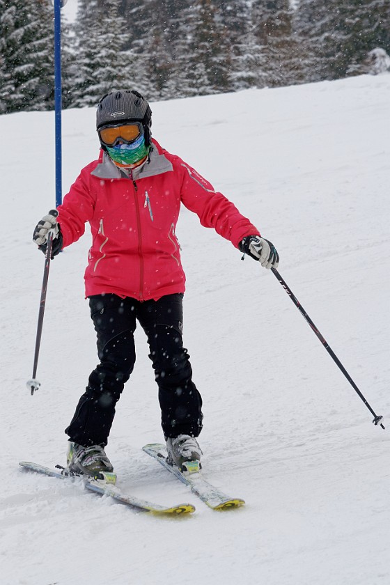 Skiing in the Schönried Area. Skiing. near Schönried. .