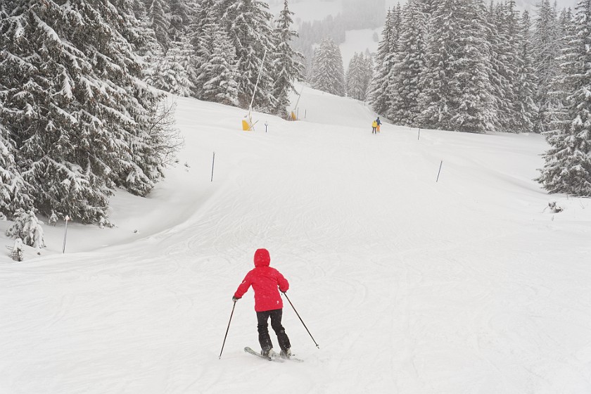 Skiing in the Schönried Area. Skiing. near Schönried. .