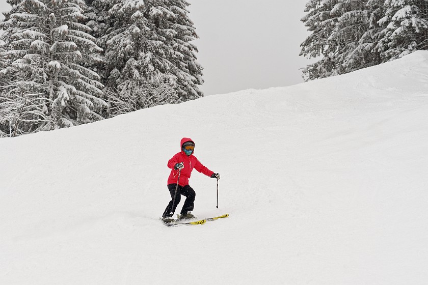 Skiing in the Schönried Area. Skiing. near Schönried. .