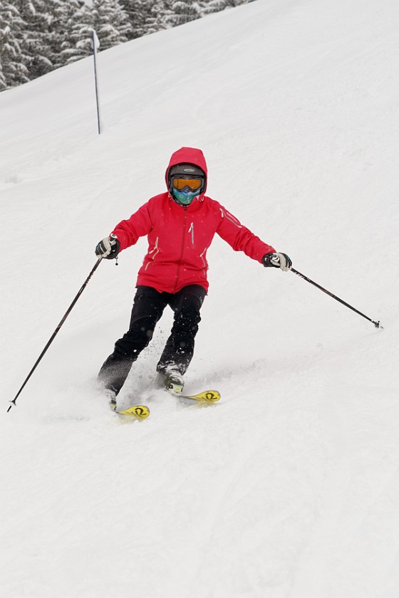 Skiing in the Schönried Area. Skiing. near Schönried. .