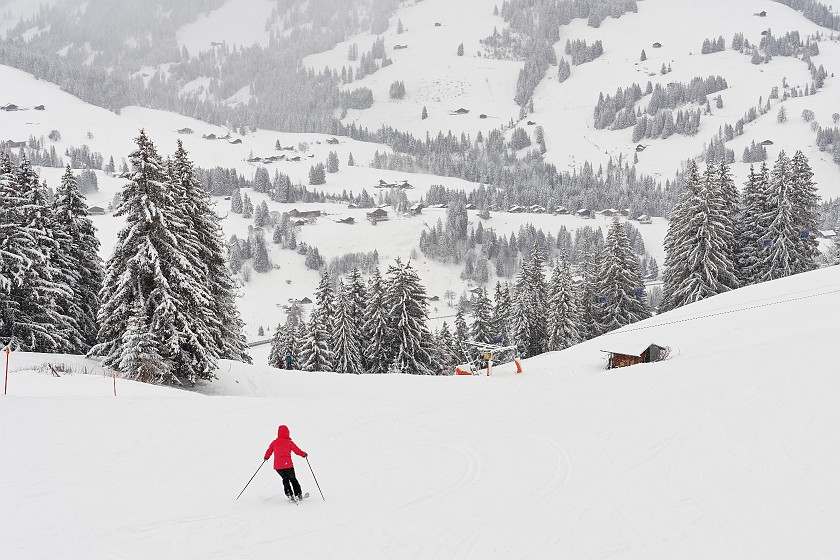 Skiing in the Schönried Area. Skiing. near Schönried. .