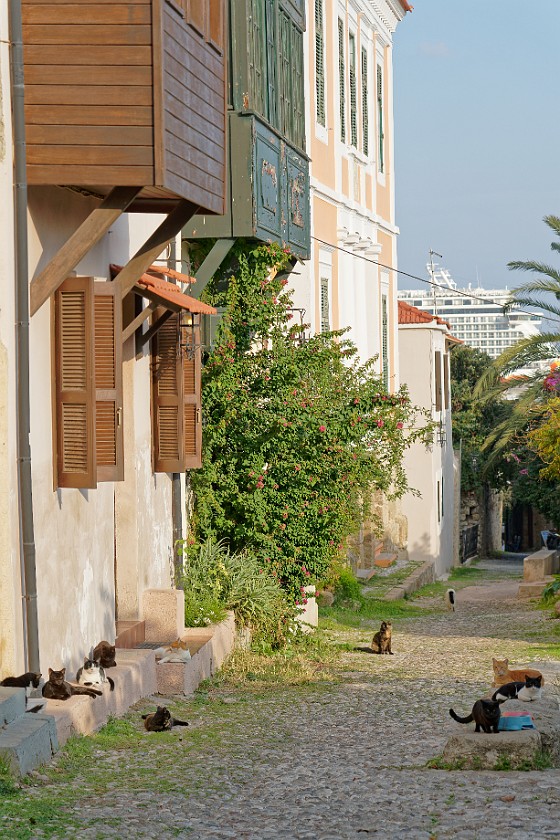 Rhodes Old Town. Cats on cobblestone road. Rhodes. .