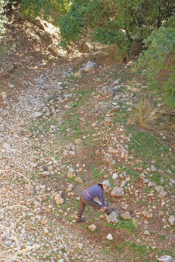 Ajloun Forest Reserve. Stretching. near Ajloun. .