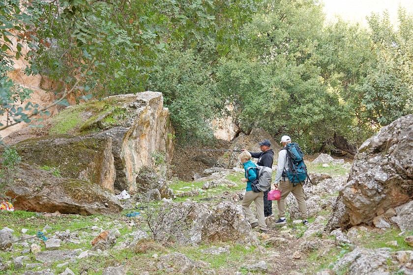 Ajloun Forest Reserve. Foto stop. near Ajloun. .