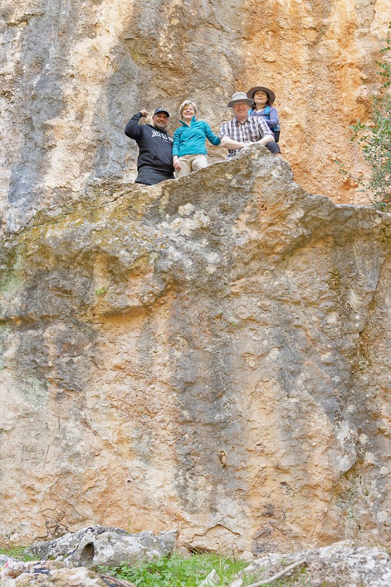 Ajloun Forest Reserve. Panoramic portrait. near Ajloun. .