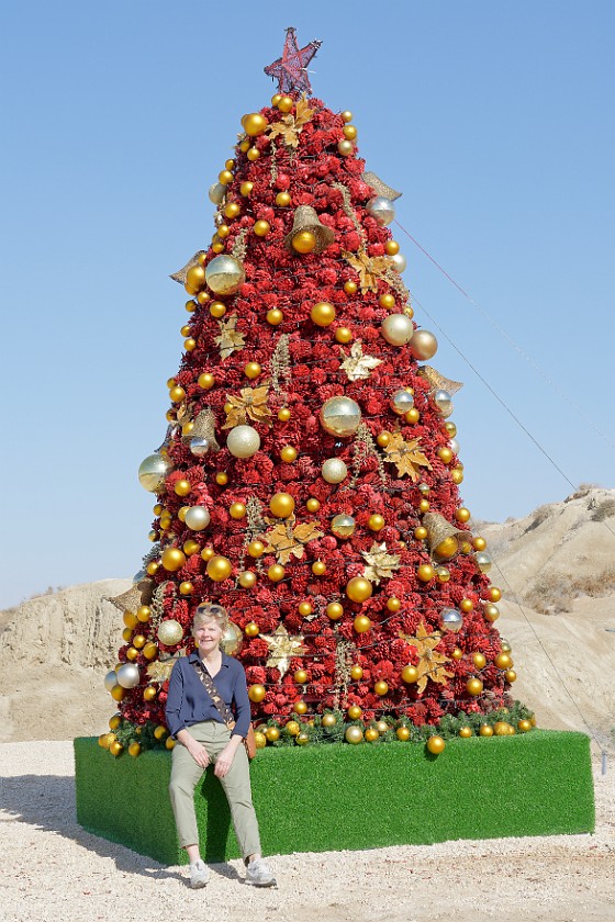 Baptismal Site. Friend at the Christmas tree. near Amman. .