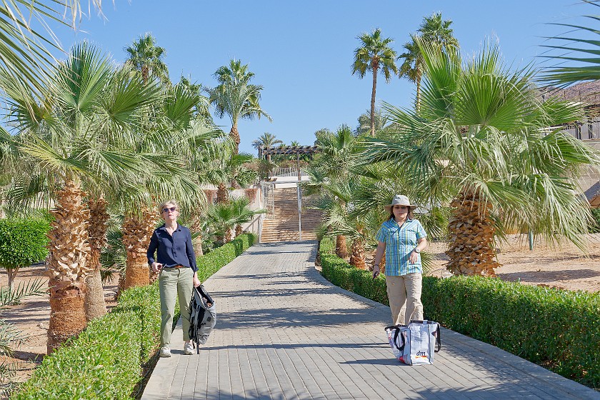 Dead Sea. Dead Sea Spa Resort. near Madaba. .