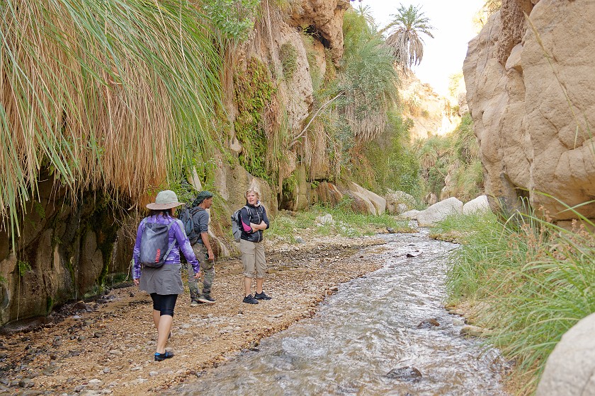 Wadi Bin Hammad. Hiking. near Kerak. .