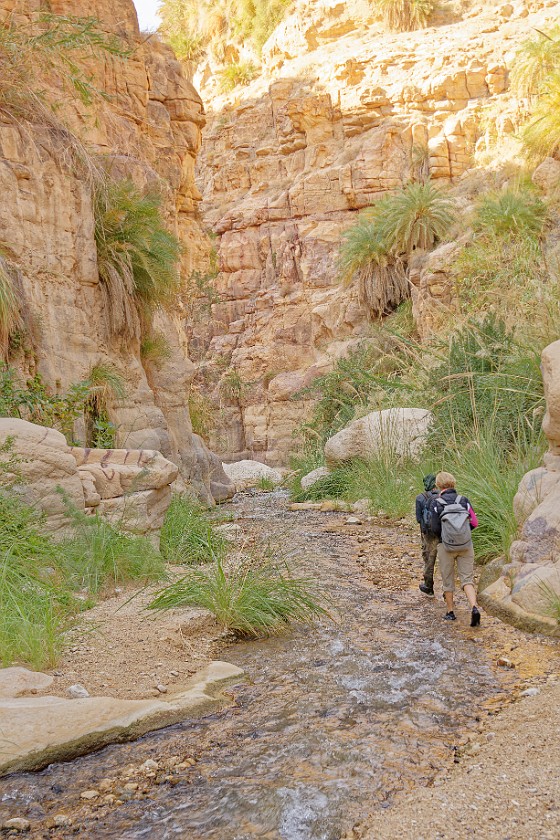Wadi Bin Hammad. Hiking. near Kerak. .