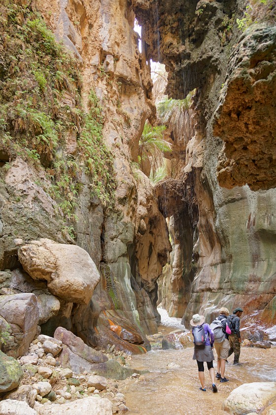 Wadi Bin Hammad. Hiking. near Kerak. .