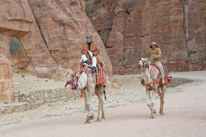 Petra. Dromedary riders on the Street of Facades. Wadi Musa. .