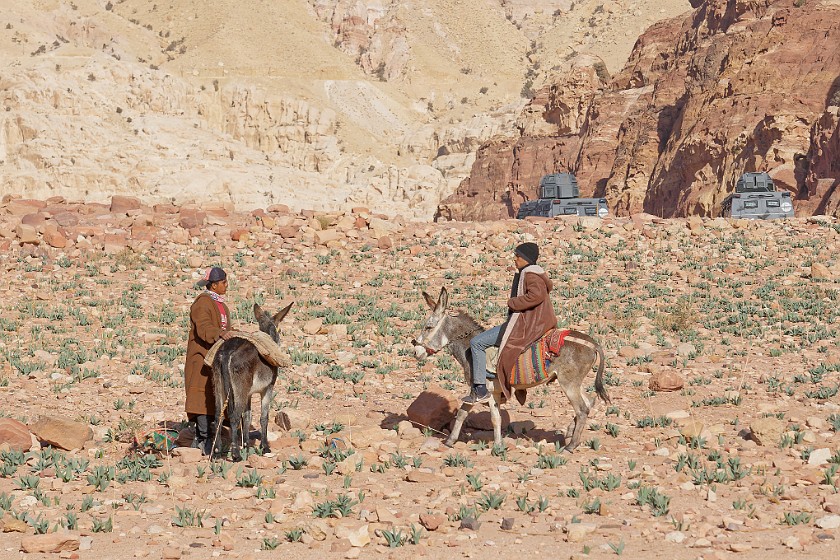 Petra. Jordanians on donkeys. Wadi Musa. .