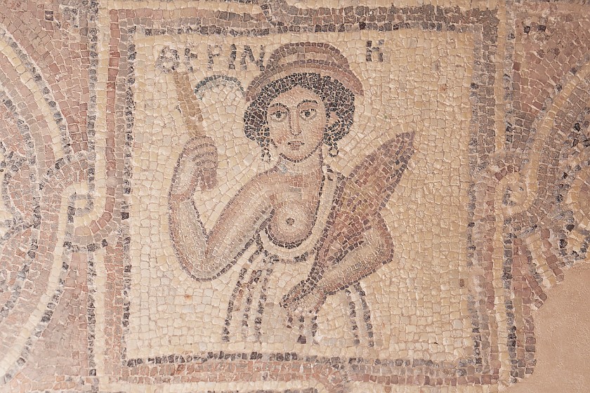 Petra. Mosaic. Wadi Musa. .