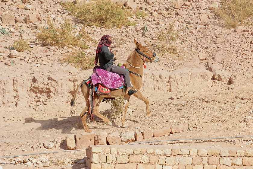 Petra. Jordanian on donkey. Wadi Musa. .