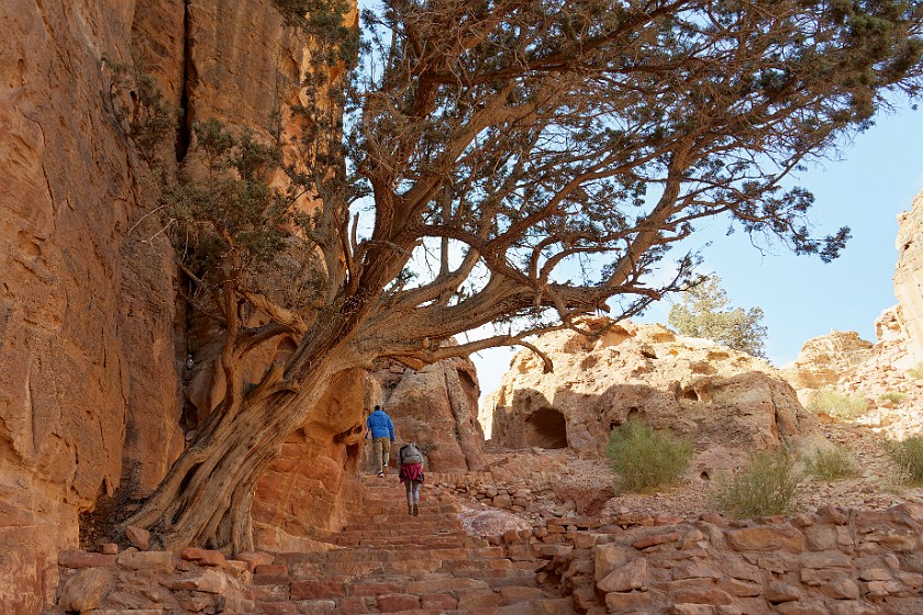 Petra. Hiking. Wadi Musa. .