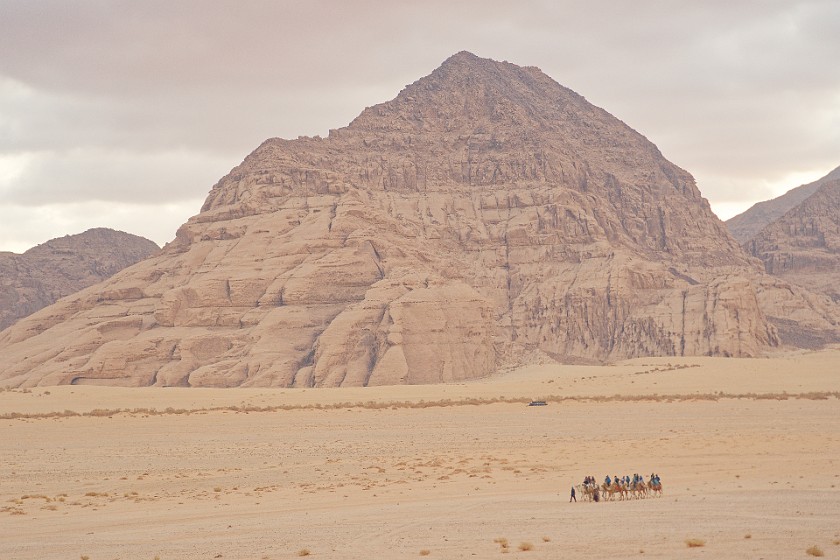 Wadi Rum. Tourist caravan. Wadi Rum. .