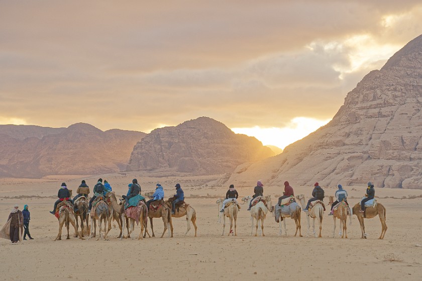 Wadi Rum. Sunrise with tourist caravan. Wadi Rum. .