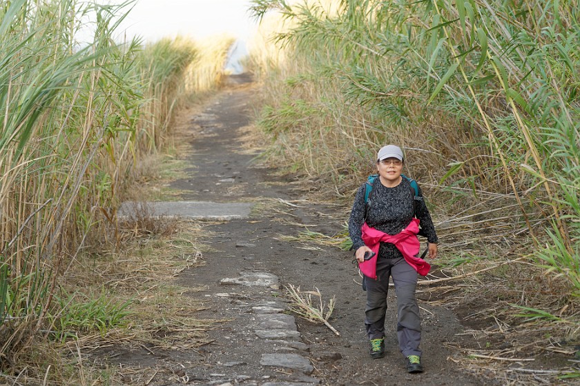 Hiking to the Stromboli Observation Platform. Hiking. Stromboli. .