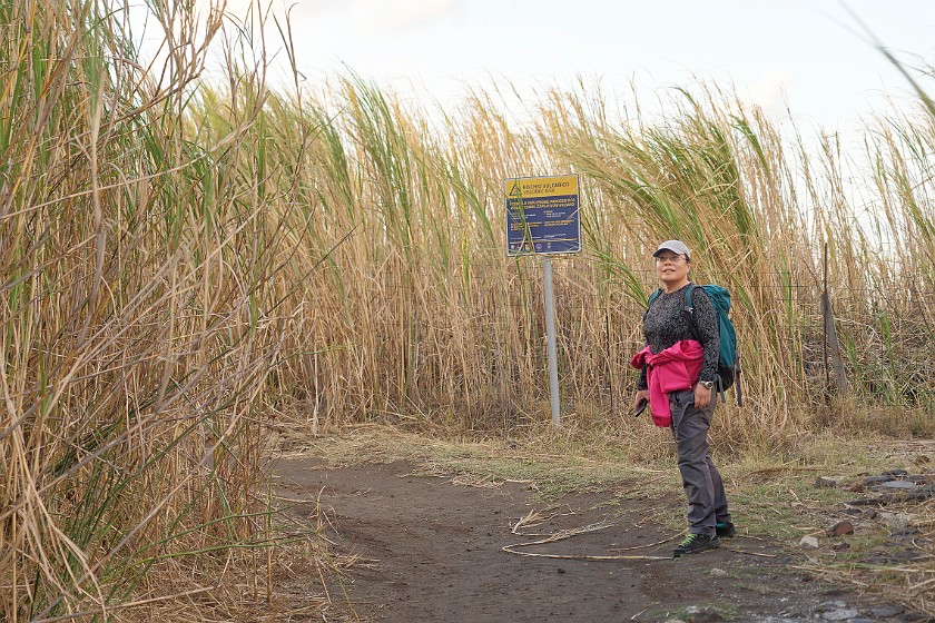 Hiking to the Stromboli Observation Platform. Hiking. Stromboli. .