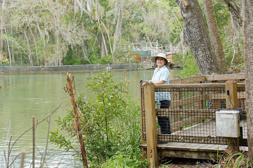 Ellie Schiller Homosassa Springs Wildlife State Park. Lookout. Homosassa. .