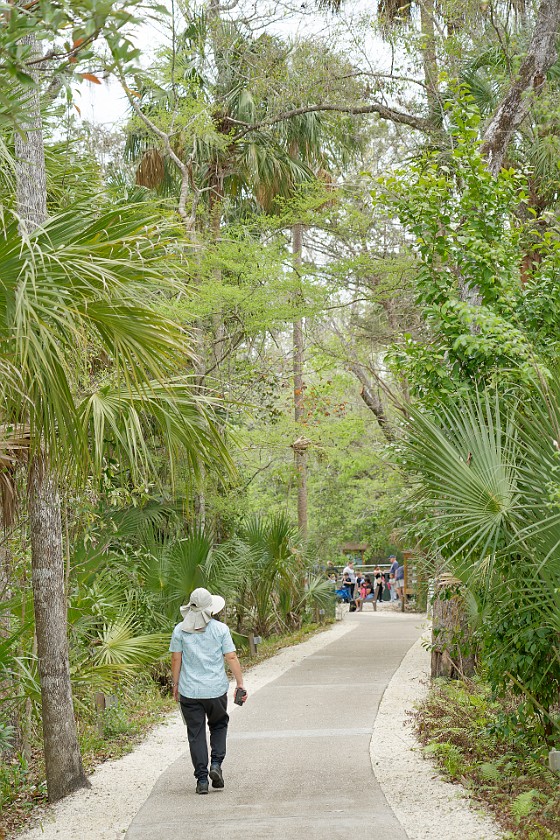 Ellie Schiller Homosassa Springs Wildlife State Park. Wildlife walk. Homosassa. .