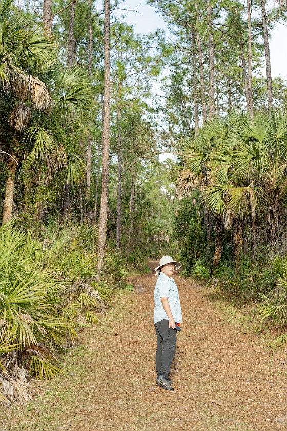 CREW Marsh Trails. Marsh loop trail. near Immokalee. .