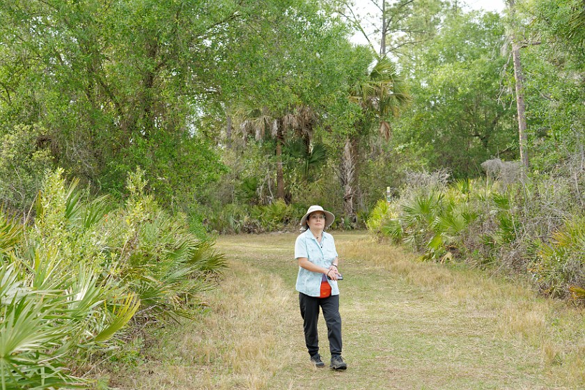 CREW Marsh Trails. Marsh loop trail. near Immokalee. .
