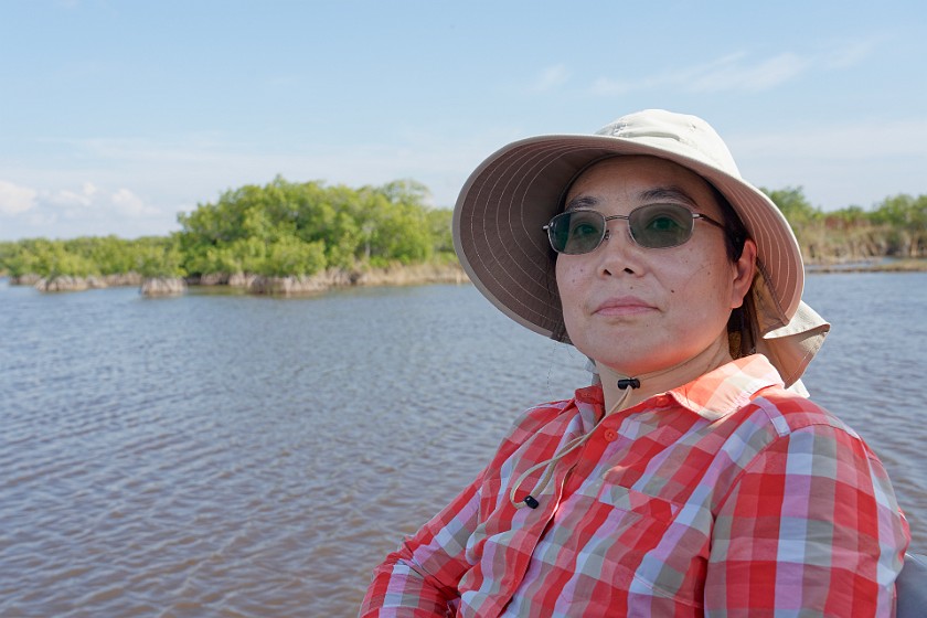 Airboat Tour & Zoo. Portrait in front of mangroves. near Everglades City. .